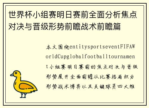 世界杯小组赛明日赛前全面分析焦点对决与晋级形势前瞻战术前瞻篇